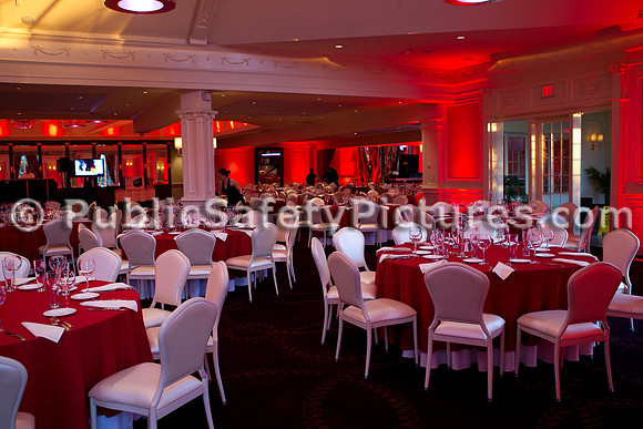 2011 PFD Ball-1