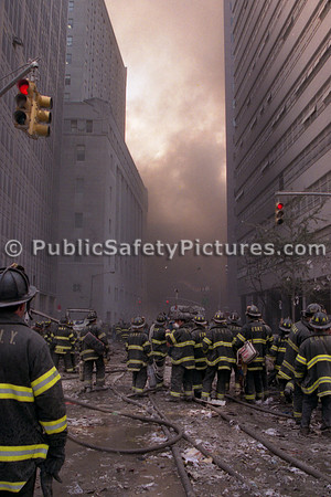 WTC (42)