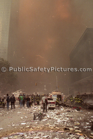 WTC (51)