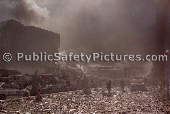 WTC (46)