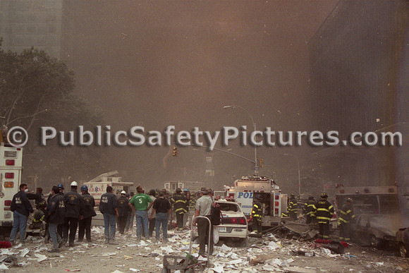 WTC (61)